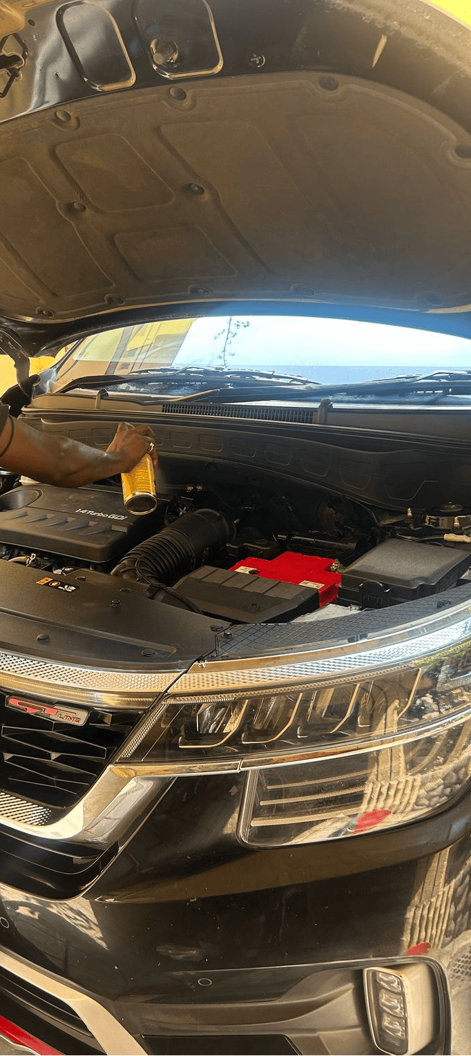 Rodent Repellent Treatment